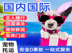 天吉泰机场空运国际宠物托运 【国